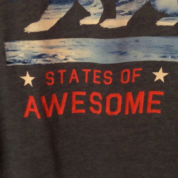 Old Navy United States of Awesome Blue T-Shirt Boys Large L 10/12 - Picture 4 of 14